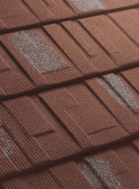 foriza_shingle_Bruno - Everkast