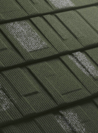 foriza_shingle_Oliva - Everkast